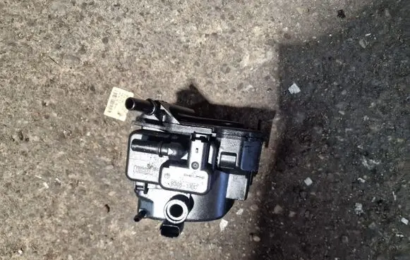 Citroen C5 Fuel filter 
