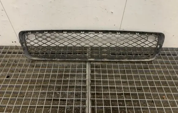 BMW X5 E70 Front grill