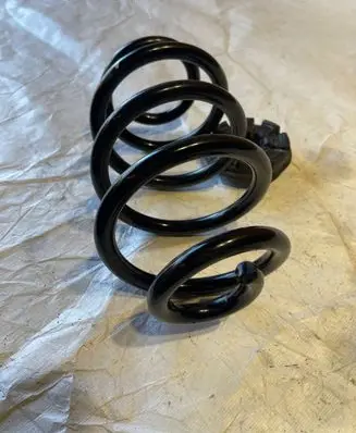 Renault Zoe Rear coil spring 8200218906