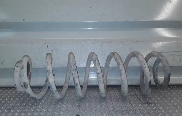 Skoda Roomster (5J) Rear coil spring 
