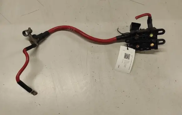 Positive wiring loom