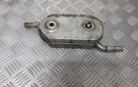 Citroen C5 Engine oil radiator 0501209925