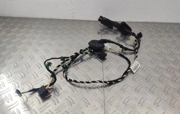 Volkswagen PASSAT B8 Rear door wiring loom 3G0971693F