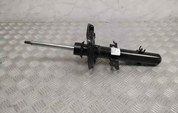 Nissan Qashqai Front shock absorber/damper 54302HV01A