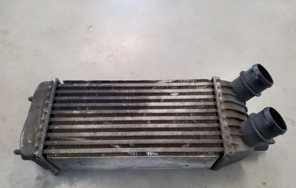 Peugeot Expert Intercooler radiator 1498987080 E5531007