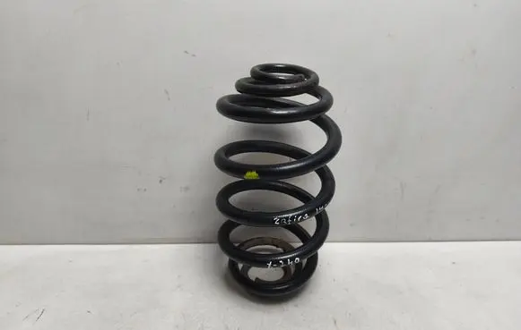 Rear coil spring