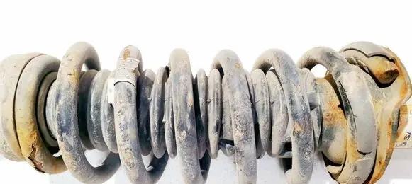 Rear coil spring