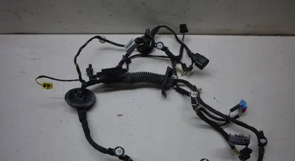 Front door wiring loom