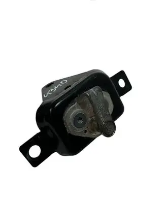 Dacia Dokker Rear door lock loop/hook striker 825704845R