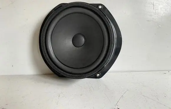 Tesla Model S Rear door speaker 156570600B 1565706