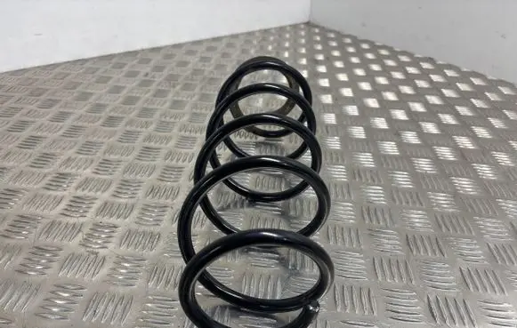Renault Laguna III Rear coil spring