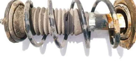 Front coil spring
