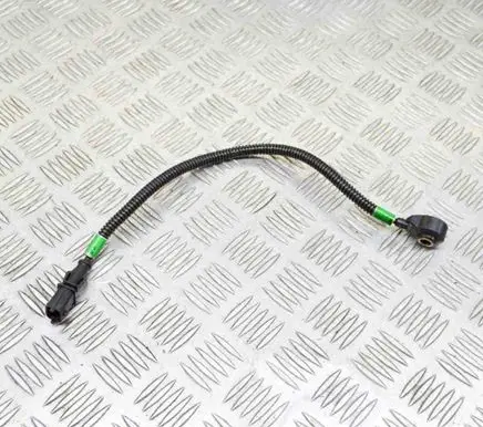 Maserati Quattroporte Detonation knock sensor 0261231223