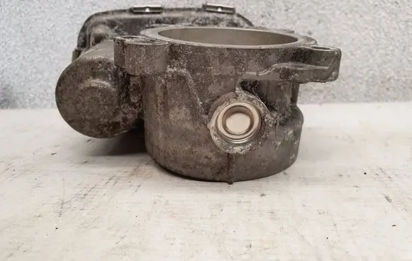 Throttle body valve