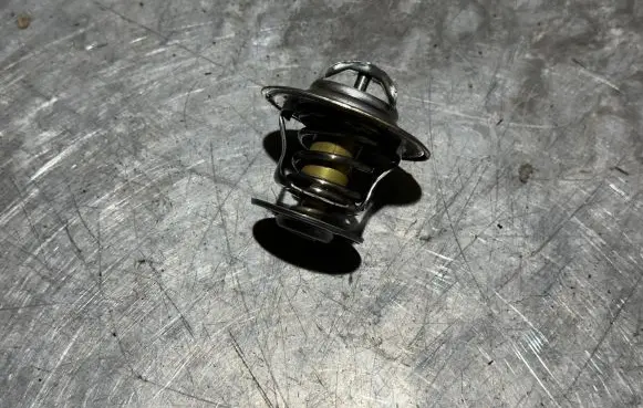 Thermostat/thermostat housing