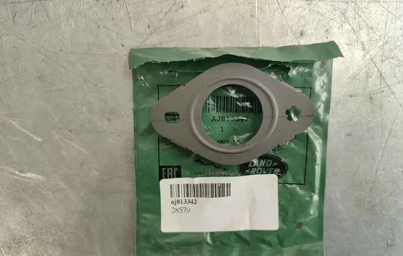 Jaguar F-Pace Nuts/bolts AJ813342