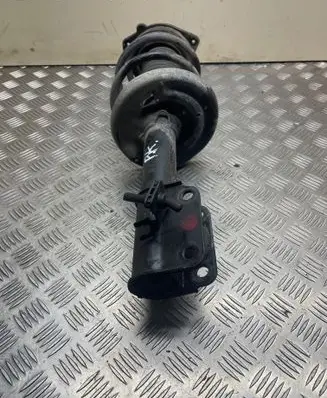Renault Latitude (L70) Front shock absorber/damper