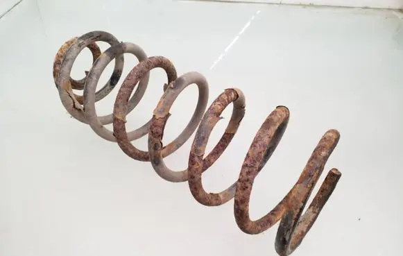 Rear coil spring