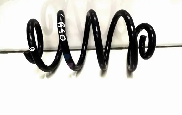 Renault Zoe Rear coil spring
