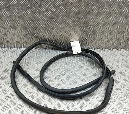 Nissan Leaf II (ZE1) Rubber seal front coupe door 808315SL0A