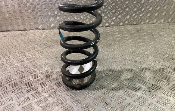 Ford Mustang VI Rear coil spring FR3C5560BE