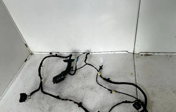 BMW 2 F45 Rear door wiring loom 9224365