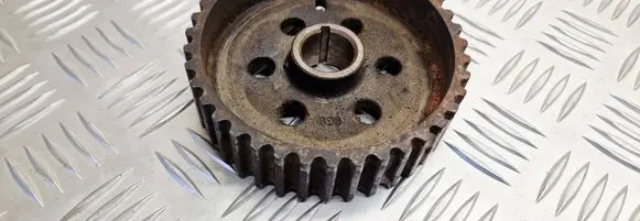 Chrysler Voyager Camshaft pulley/ VANOS 07405
