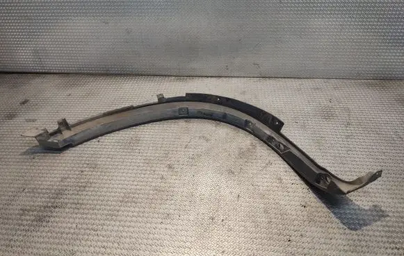 Fender trim (molding)