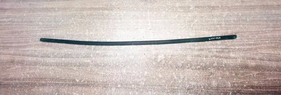 Mercedes-Benz S W220 Rubber seal front door (on door) 