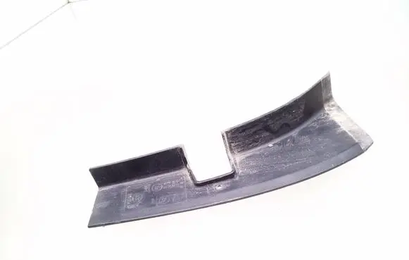 Rear/tail light trim molding