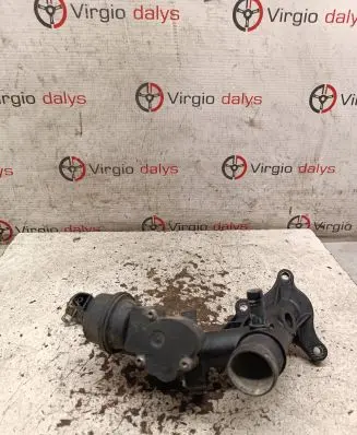 Thermostat/thermostat housing