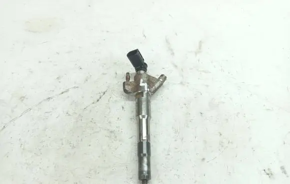 Renault Master III Fuel injector 166009567R