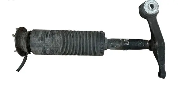 Mercedes-Benz S W220 Front shock absorber/damper A2203208313
