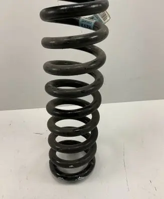 Rear coil spring