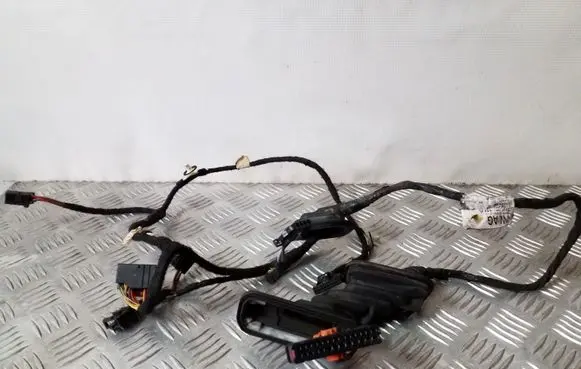 Volkswagen Sharan Front door wiring loom