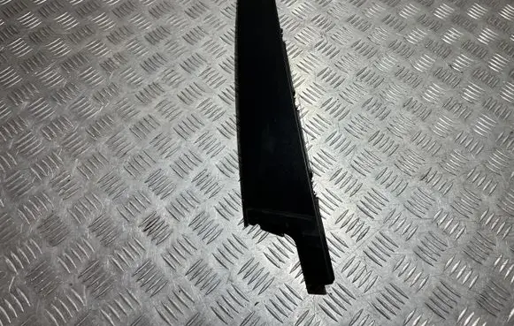 Renault Arkana Front door trim (molding) 802844394R