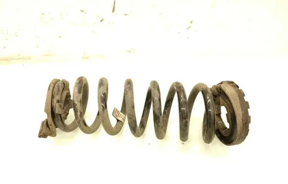 Rear coil spring