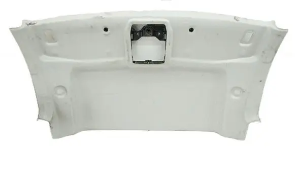 Volkswagen Caddy Headlining 2K7867501B