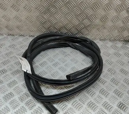 Nissan Leaf II (ZE1) Rubber seal front coupe door 808315SL0A