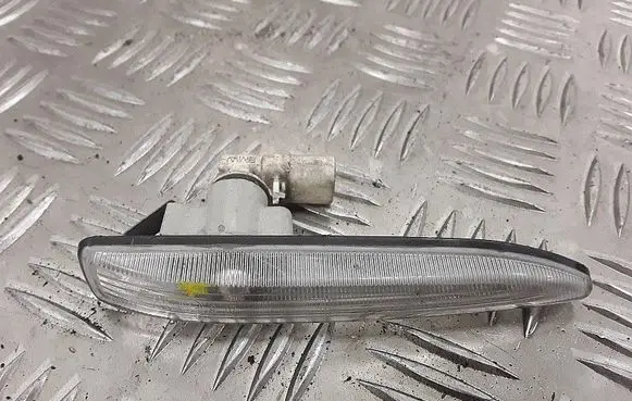 Front fender indicator light