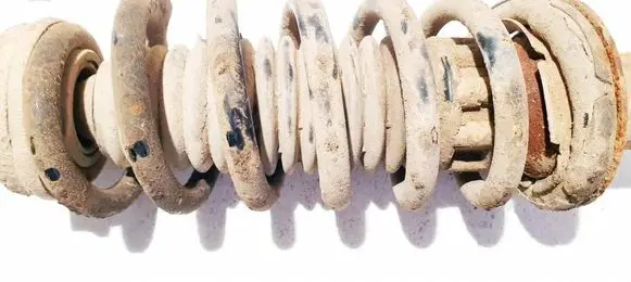 Rear coil spring
