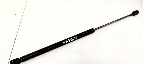 Renault Espace III Front bonnet/hood damper/strut 7605790560N