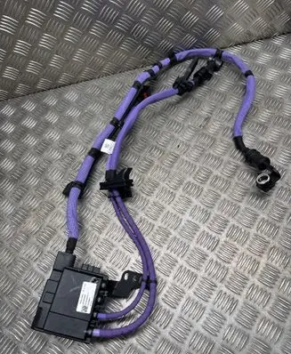 BMW X5 G05 Positive wiring loom 765031000D 5014975717 20230907