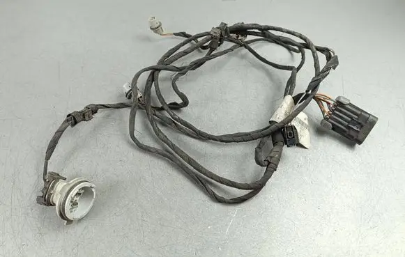 Mercedes-Benz R W251 Other wiring loom 13631354