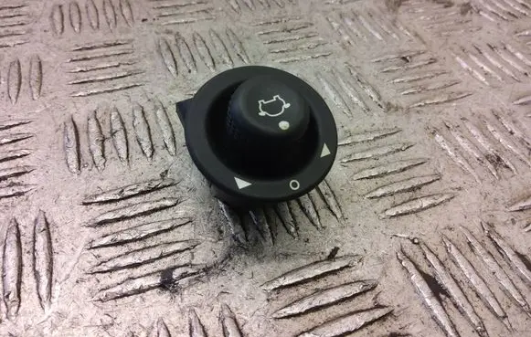 Ford Ecosport Wing mirror switch CN1517B676AA
