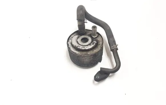 Nissan Navara D40 Engine oil radiator 
