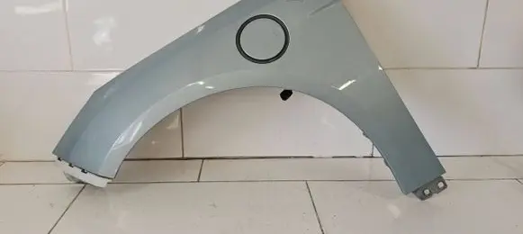 Ford Focus Fender