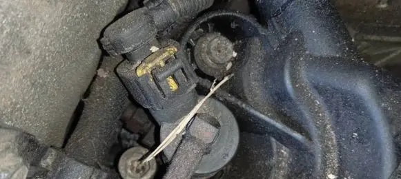 Fiat Croma Fuel injector 0445110276