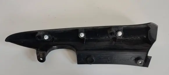 Rear/tail light trim molding