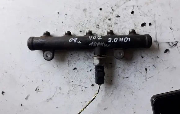 Peugeot 407 Fuel distributor 